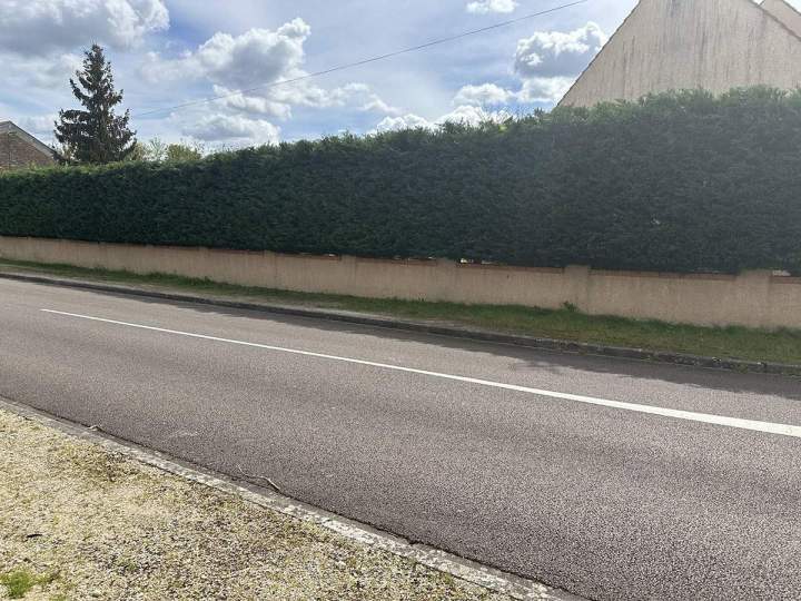 Taille de haie Bussy-Saint-Georges