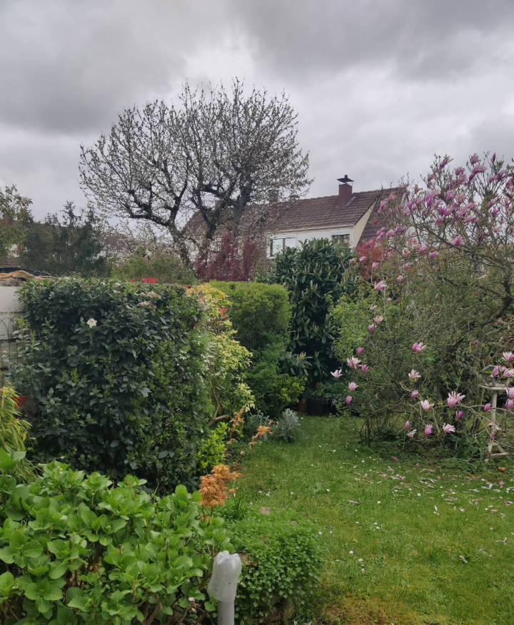 Entretien de haie Bussy-Saint-Georges