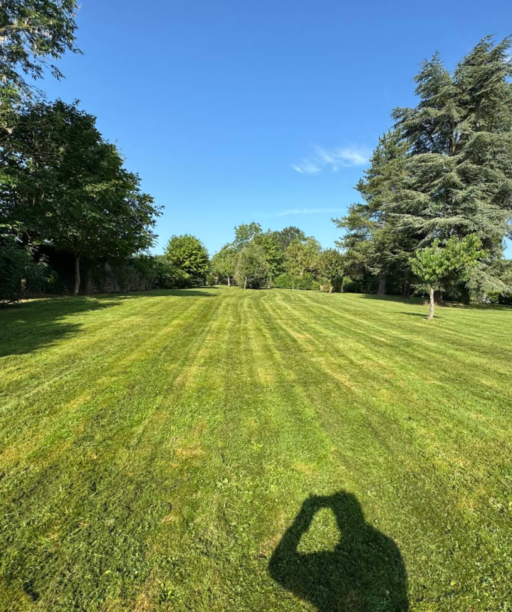 Tonte de pelouse Bussy-Saint-Georges