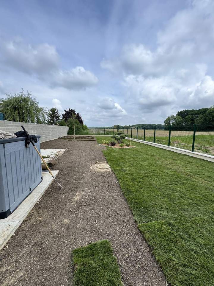 Taille d'arbuste Bussy-Saint-Georges