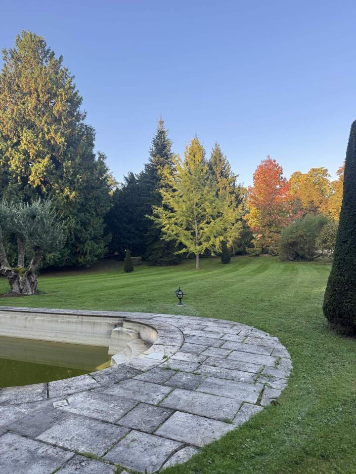 Aménagement paysager Bussy-Saint-Georges  