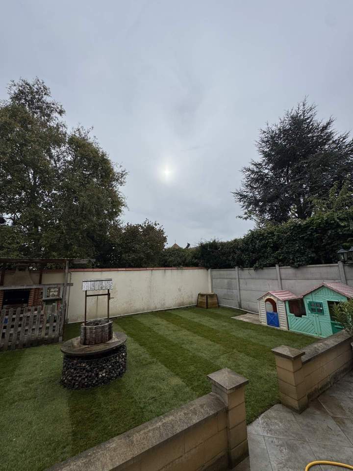 Entretien du jardin Bussy-Saint-Georges